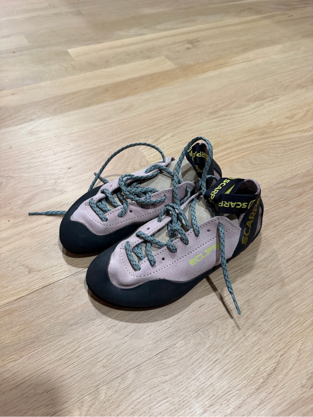 Scarpa Pink and Black womens Climbing Shoes